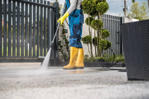 Best Fence Cleaning and Maintenance in Mauriceville, TX